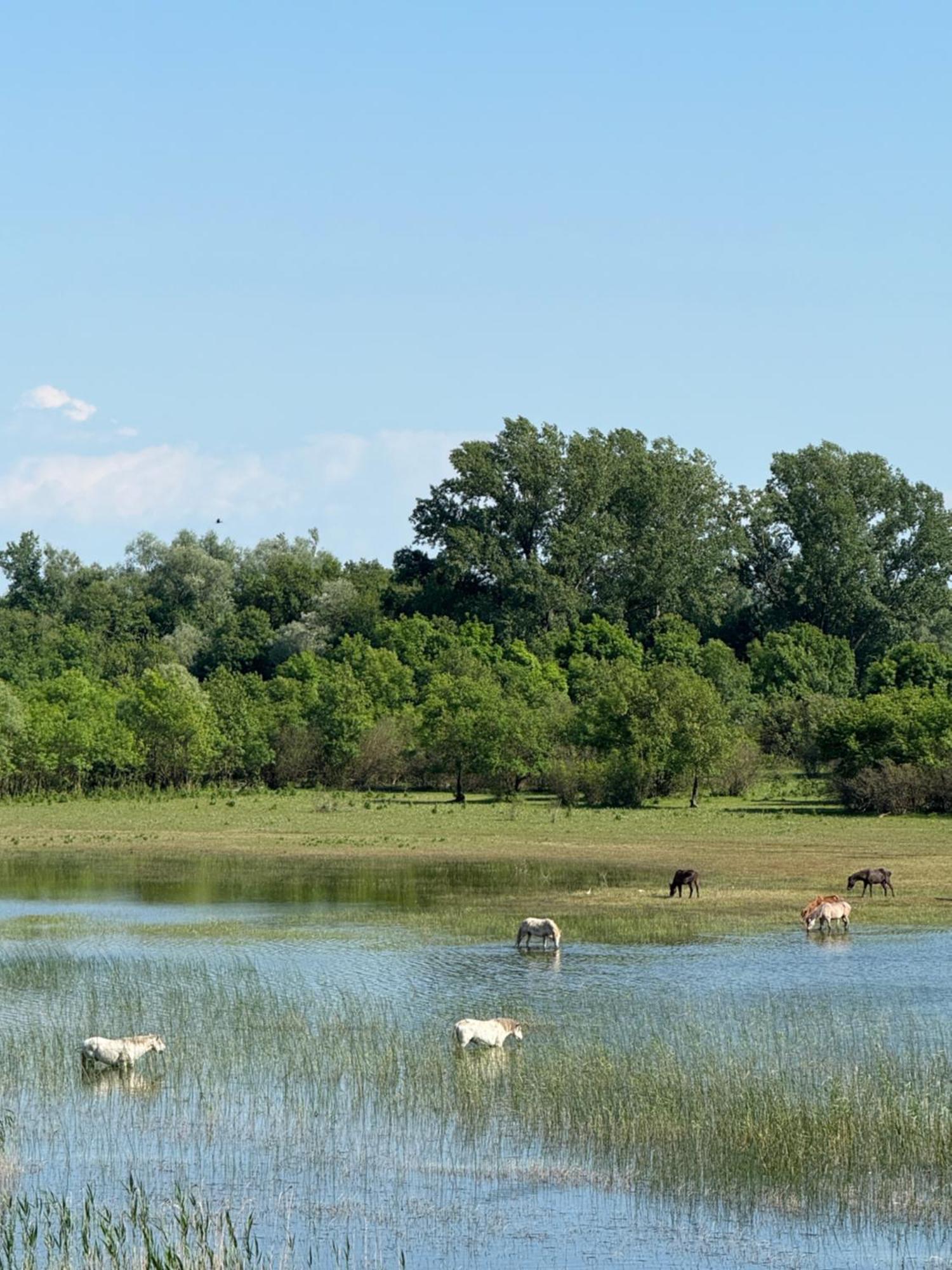 Lake Skadar Paradise Dodosi Exterior photo